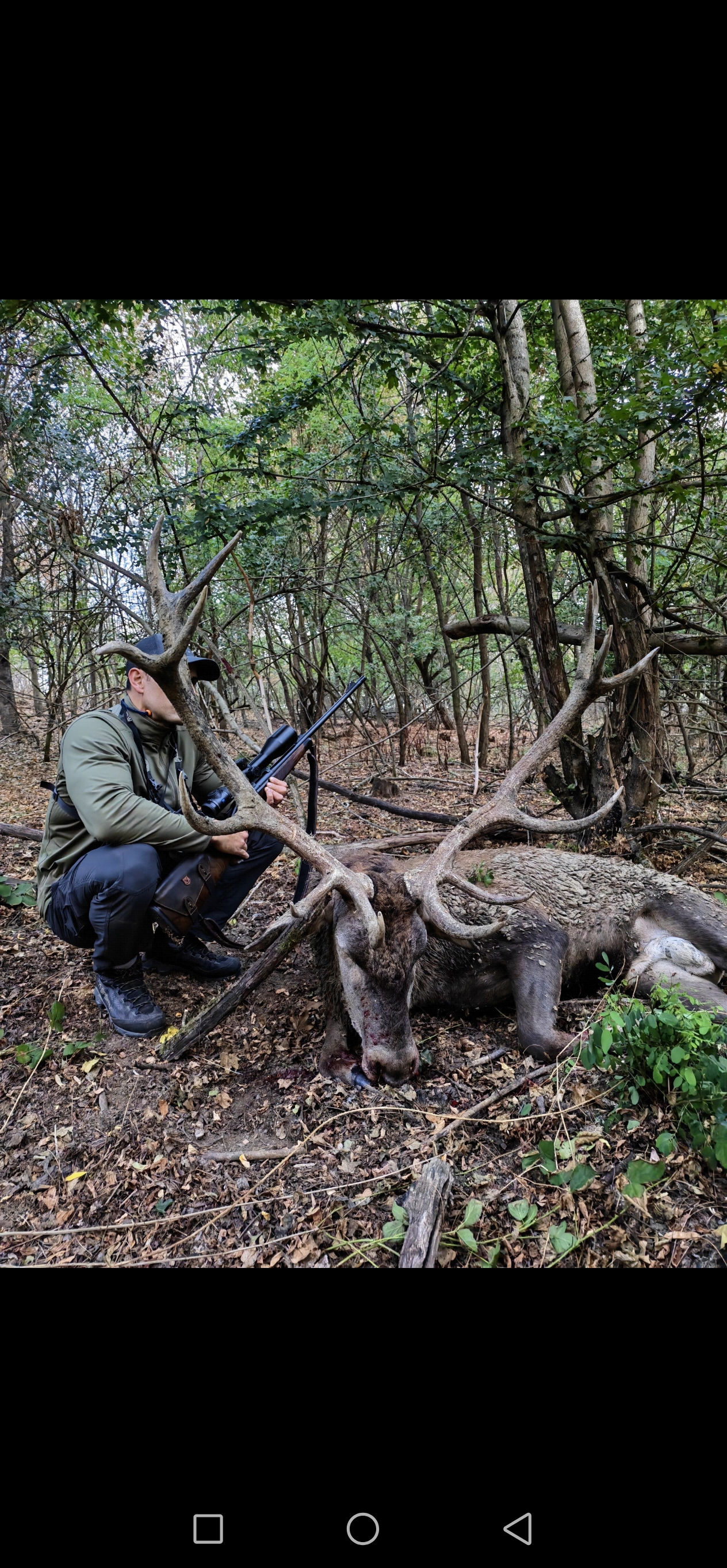 Red stag hunting photo 2
