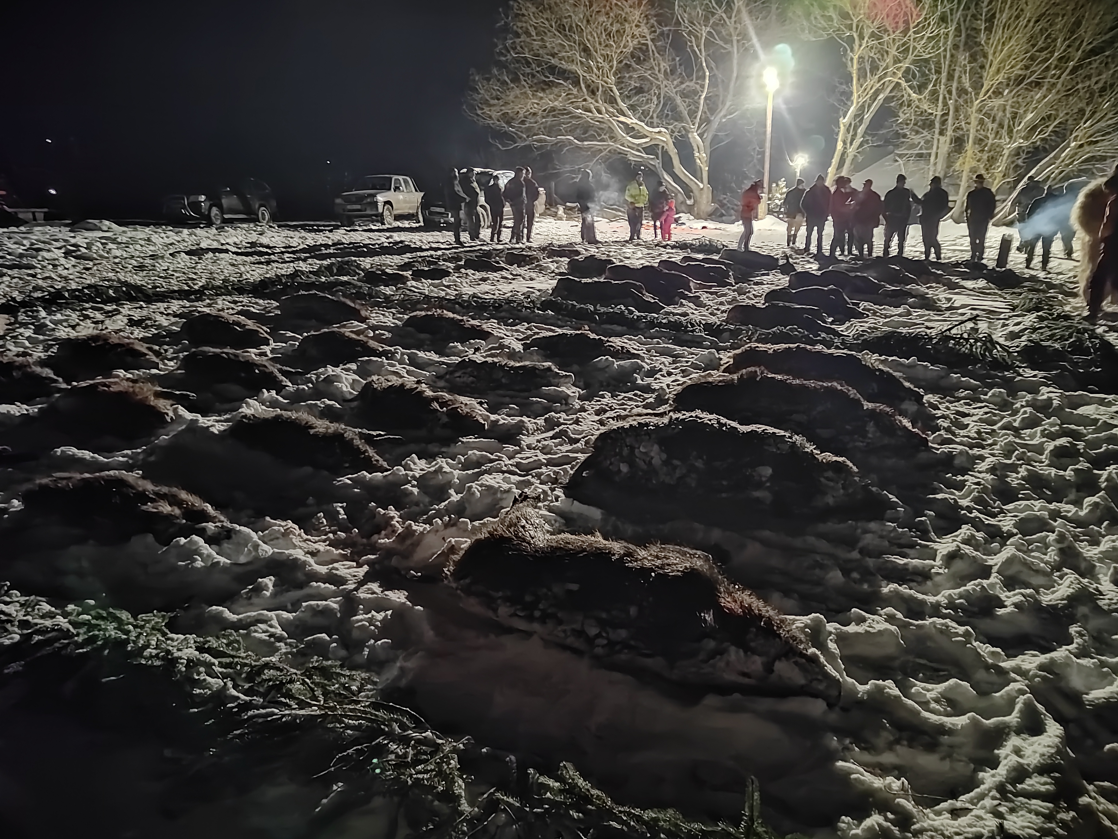 Multi-Day Driven Hunt in Hungary