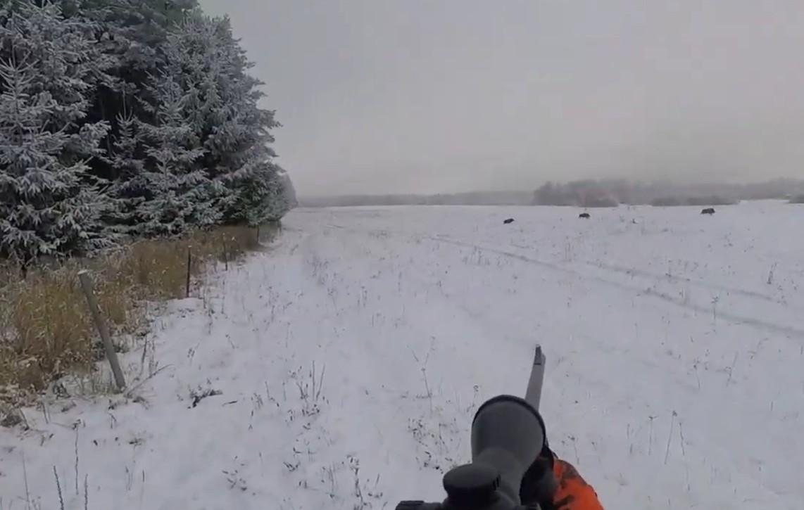 Driven Hunt in the Czech Republic – 19–21 November 2026 (last 4 places) photo 2